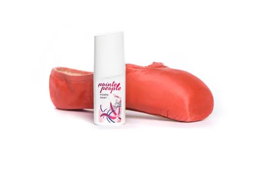 Fabric Pointe Paint