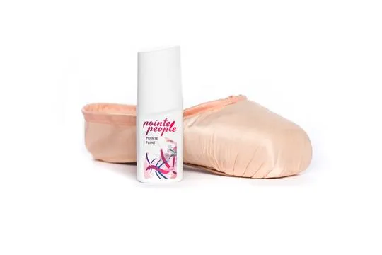 Fabric Pointe Paint